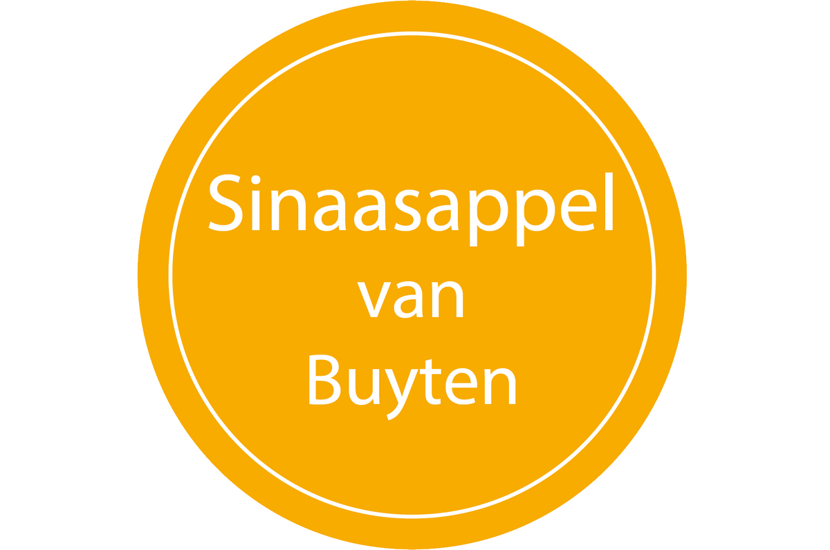 Sinaasappel van Buyten (550ml)